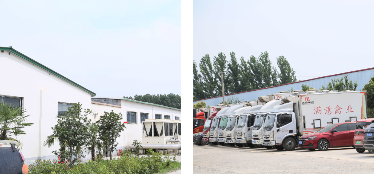 1702971555478076.png 5.png