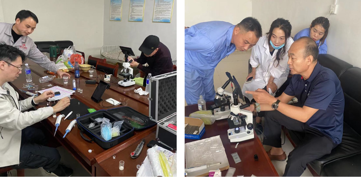 1702971570751781.png 6.png