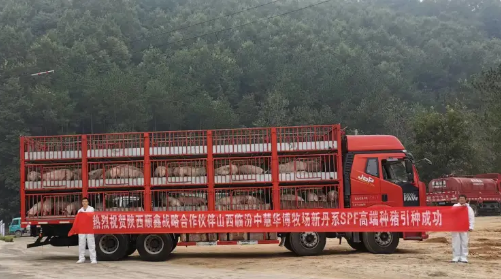 1702975574291667.png 53.png